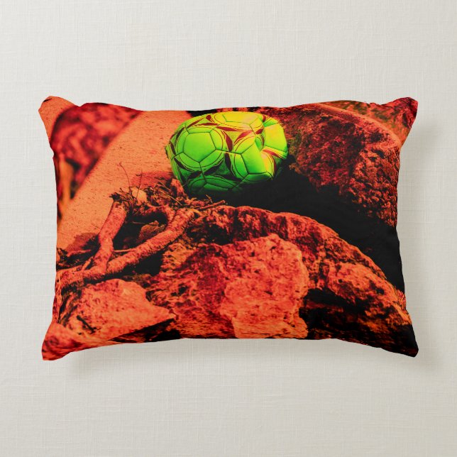 mosquito explorer accent pillow (Front)