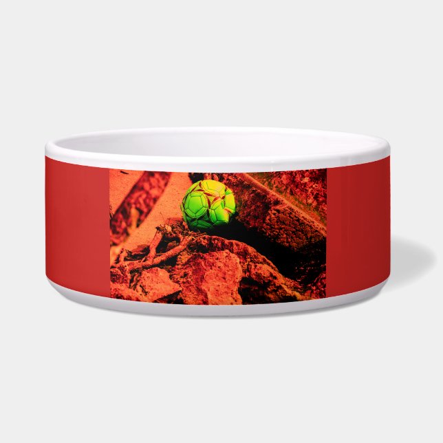 mosquito explorer bowl (Front)