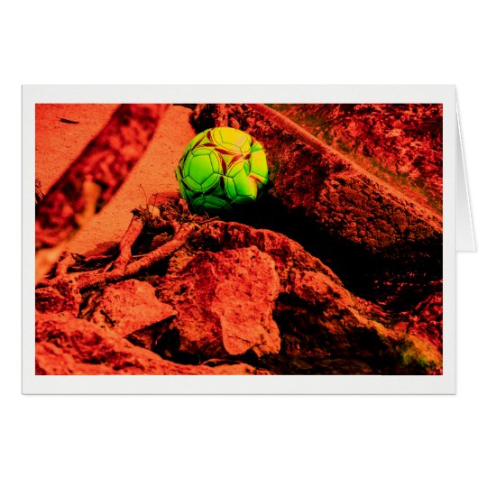mosquito explorer cards (Front Horizontal)