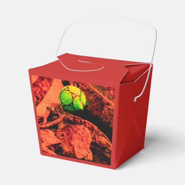 mosquito explorer favor boxes (Front Side)