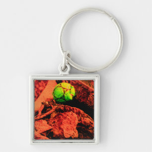 mosquito explorer keychain
