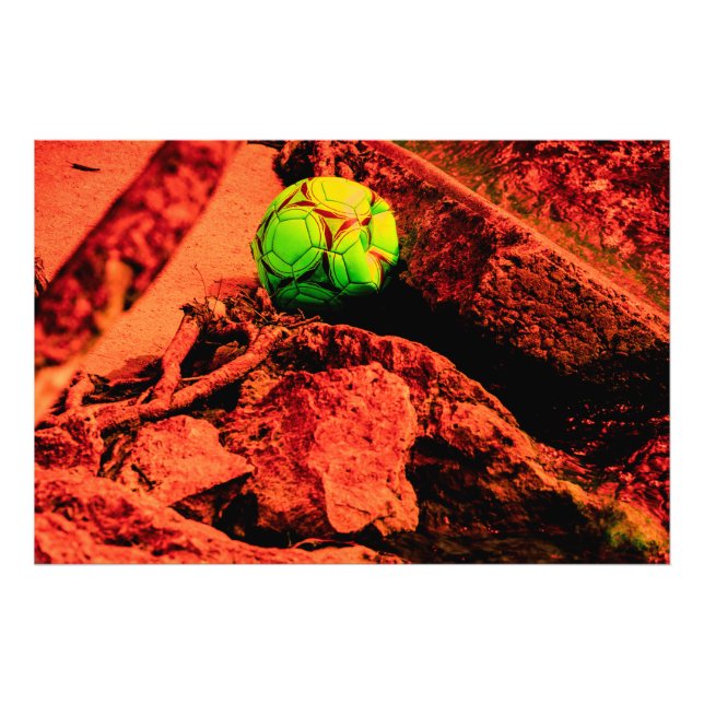 mosquito explorer photo print (Front)