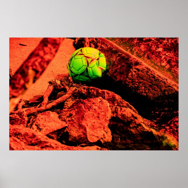 mosquito explorer poster (Front)