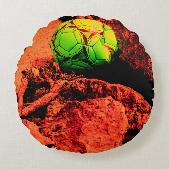 mosquito explorer round pillow (Front)