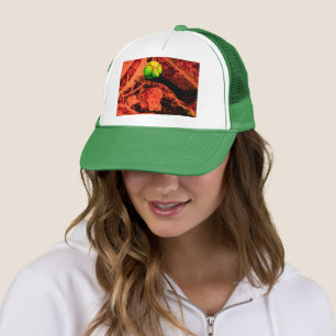 mosquito explorer trucker hat