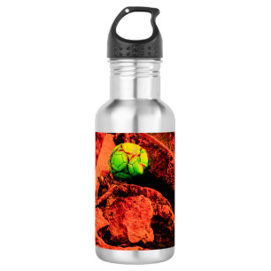 mosquito explorer water bottle