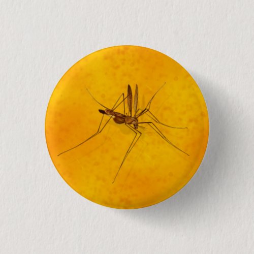 Mosquito in Amber Sap Fossil Replica Prehistoric Button