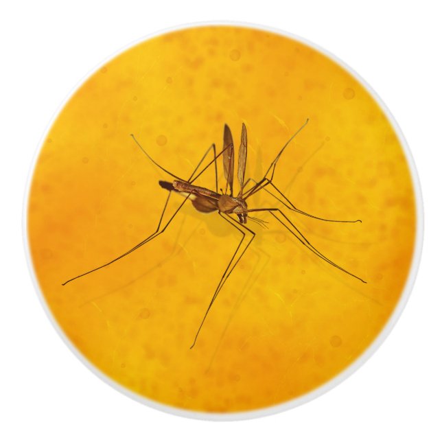 Mosquito in Amber Sap Fossil Replica Prehistoric Ceramic Knob (Front)