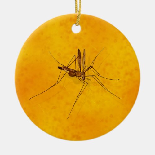Mosquito in Amber Sap Fossil Replica Prehistoric Ceramic Ornament