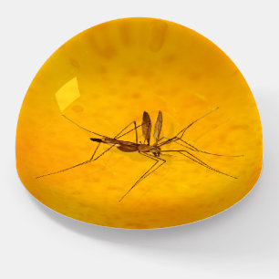 Mosquito in Amber Sap Fossil Replica Prehistoric Paperweight