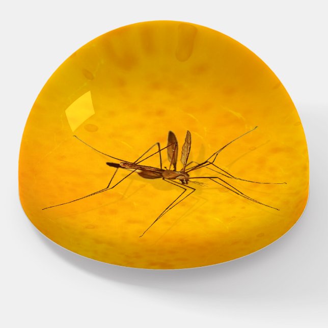 Mosquito in Amber Sap Fossil Replica Prehistoric Paperweight (Angled)