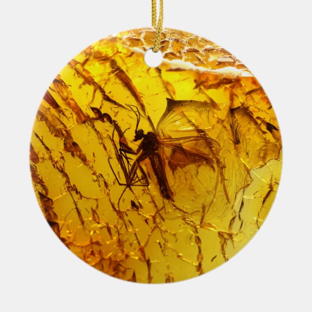 Mosquito inside amber ceramic ornament (Front)