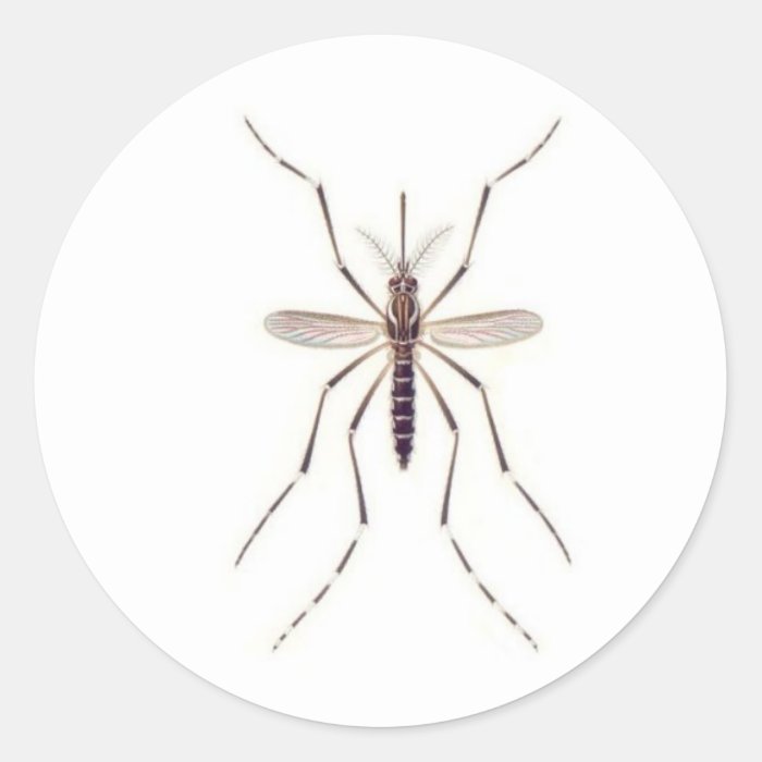 Mosquito  POWER Round Stickers