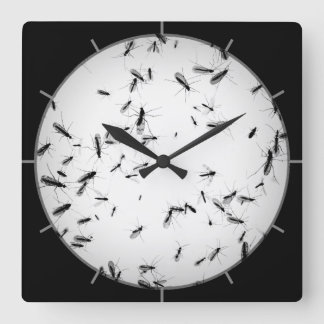 Mosquitos Square Wall Clock