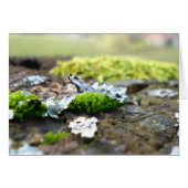 moss (Front Horizontal)