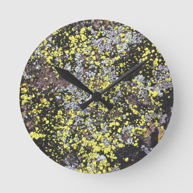 moss #5 round clock (Front)