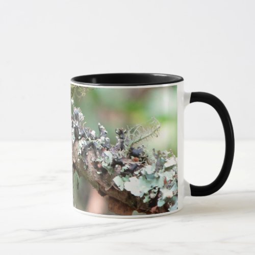 Moss and Lichens Mug