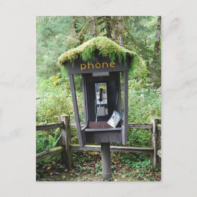Moss covered phone booth postcard (Front)