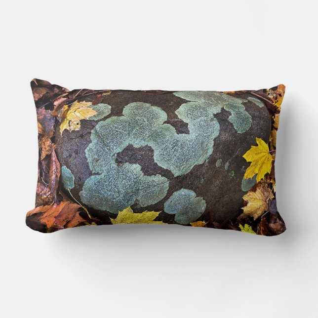Moss Covered Stone in Autumn Leaves Throw Pillow (Front)