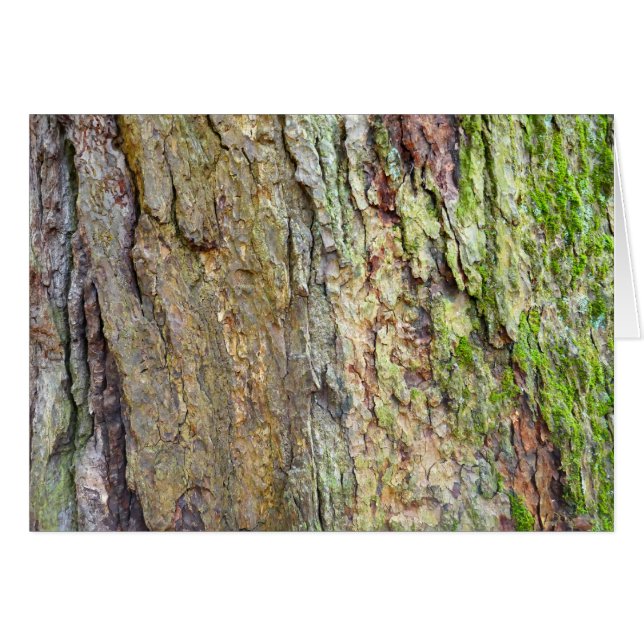 Moss-Covered Tree Bark Cards (Front Horizontal)