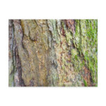 Moss-Covered Tree Bark Postcard