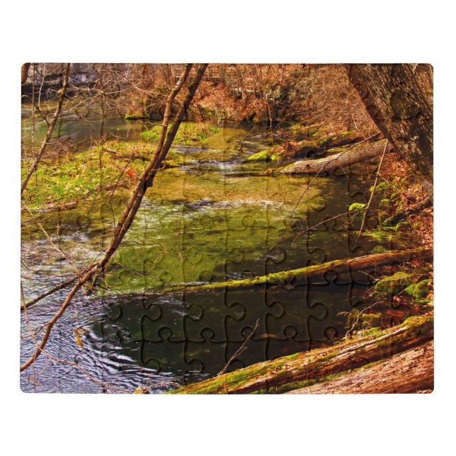 Moss covered water with cave in the fall Puzzle (Puzzle Horizontal)