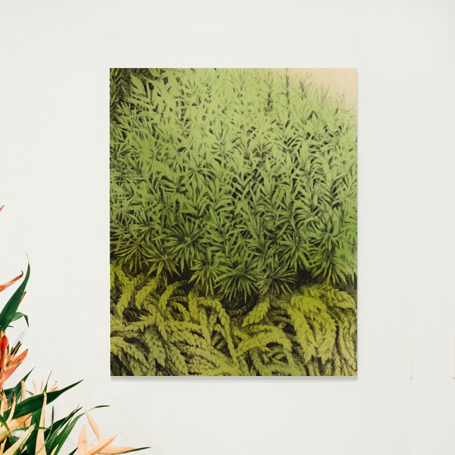 Moss Drawing with green overlay art wood print (Creator Uploaded)