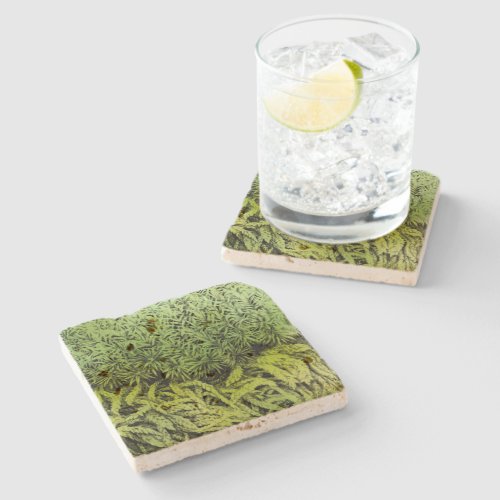 Moss drawing with green overlay coaster