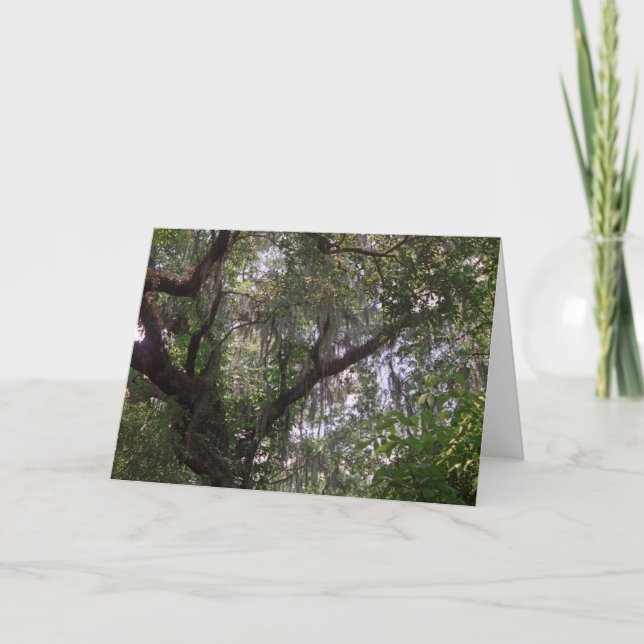 Moss Forest Canopy Custom Louisiana Greeting Cards (Front)