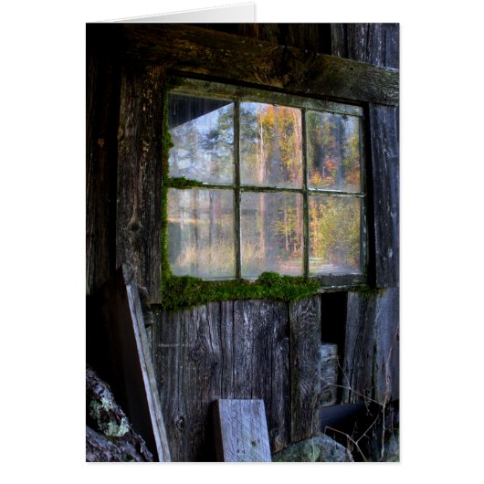 moss framed panes cards (Front)