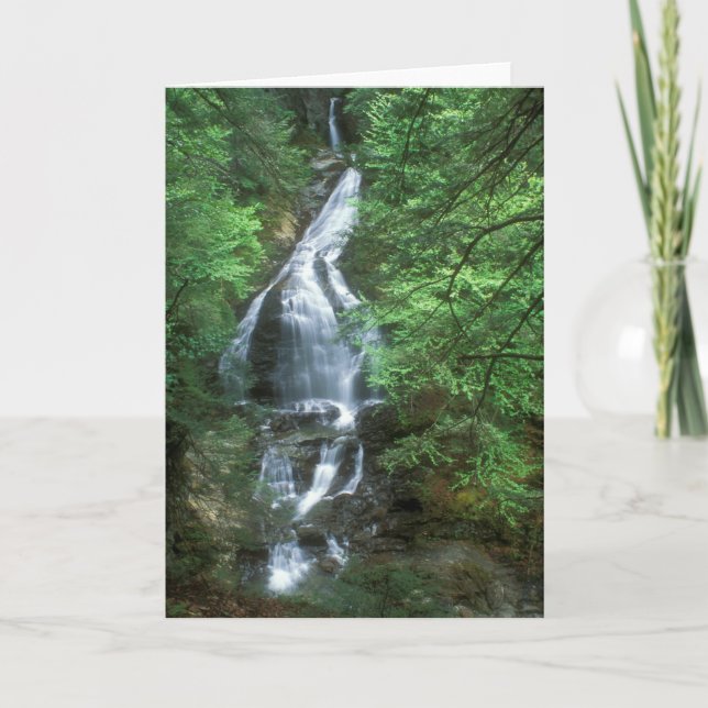 Moss Glen Falls Stowe Vermont Card (Front)