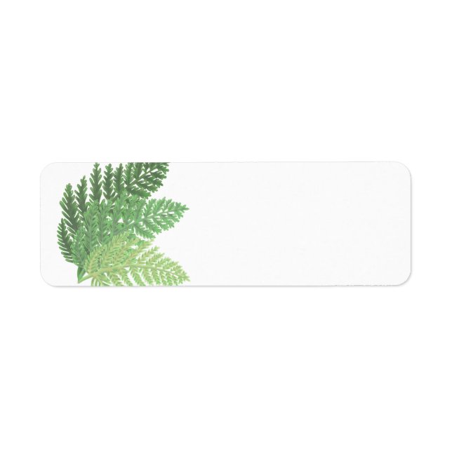 Moss Green Fern Label (Front)