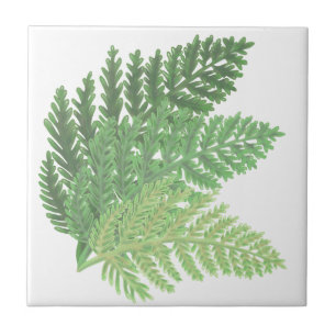 Moss Green Fern Tile