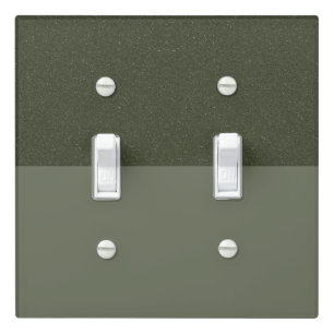 Moss Inverted Two-Tone Horizontal Toggle Plate