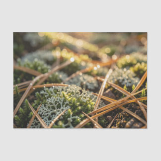 Moss Lichen Pine Needles Golden Forest Macro Tissue Paper