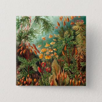 Moss (muscinae) By Haeckel Button by vintage_gift_shop at Zazzle