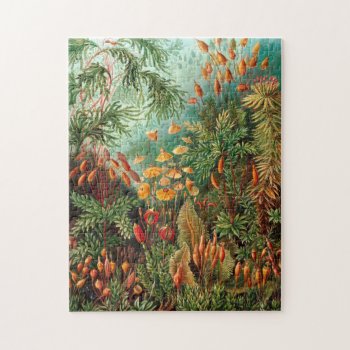 Moss (muscinae) By Haeckel Jigsaw Puzzle by vintage_gift_shop at Zazzle