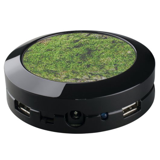 Moss on Dogwood Tree Bark 0291 USB Charging Station (Angled Back)