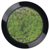 Moss on Dogwood Tree Bark 0291 USB Charging Station (Front)