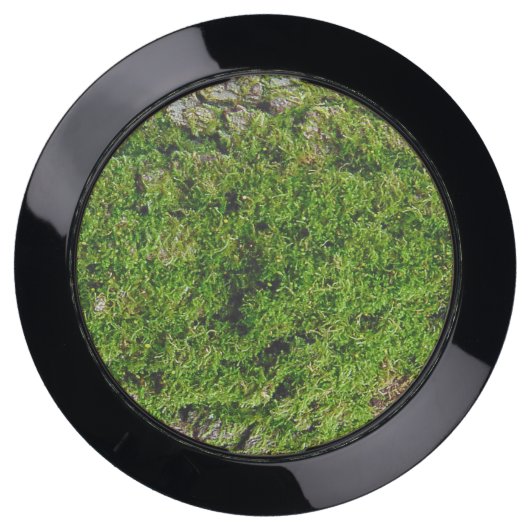 Moss on Dogwood Tree Bark 0291 USB Charging Station (Front)