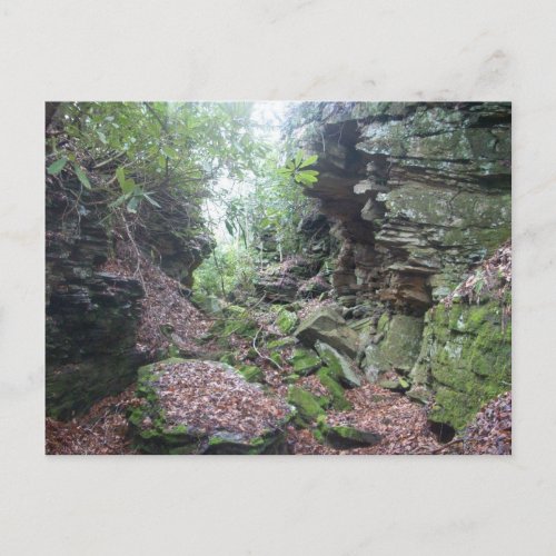 Moss on Rocks Boulders in Mercer County WV Postcard