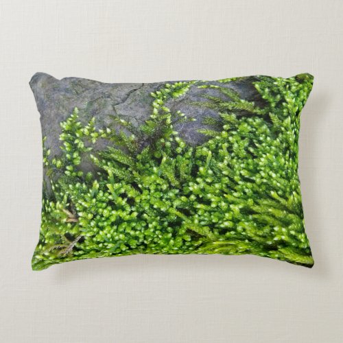 Moss on stone Entodon seductrix Accent Pillow