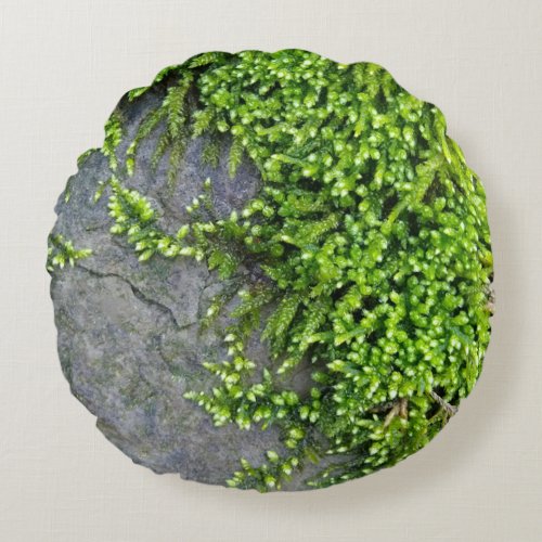 Moss on stone Entodon seductrix Round Pillow