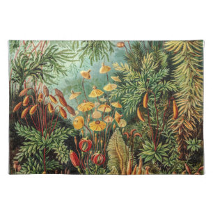 Moss Plants Muscinae by Ernst Haeckel Cloth Placemat