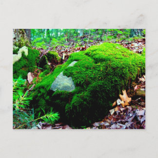 moss postcard