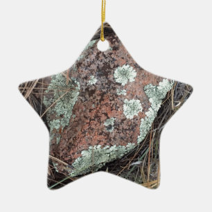 Moss rock lichen ceramic ornament
