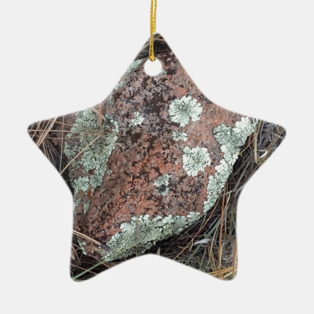 Moss rock lichen ceramic ornament (Front)