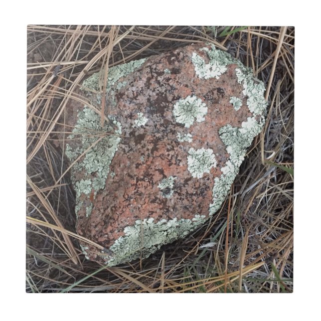 Moss rock lichen tile (Front)