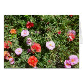 Moss Rose (Front Horizontal)