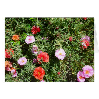 Moss Rose Cards